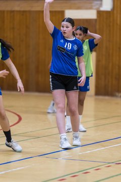 Bild 52 - wBJ TSV Ellerau - HSG Stoertal Hummeln : Ergebnis: 26:19